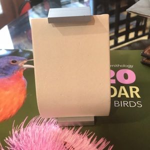 Necklace and Earring Holder